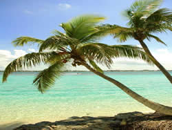 iStock_885857_MEDIUM HAWAII 250-188